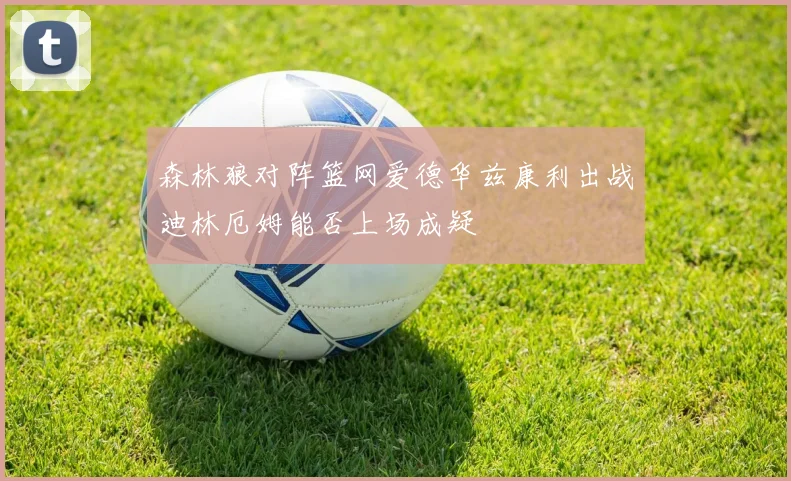 森林狼对阵篮网爱德华兹康利出战迪林厄姆能否上场成疑