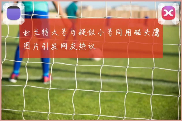 杜兰特大号与疑似小号同用猫头鹰图片引发网友热议