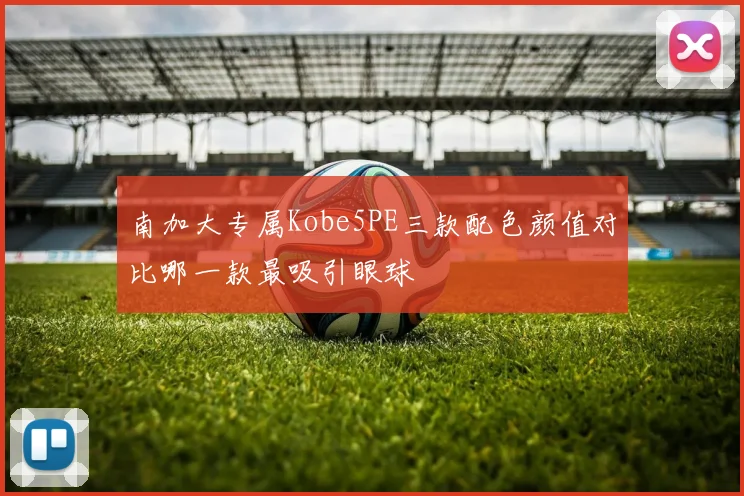 南加大专属Kobe5PE三款配色颜值对比哪一款最吸引眼球