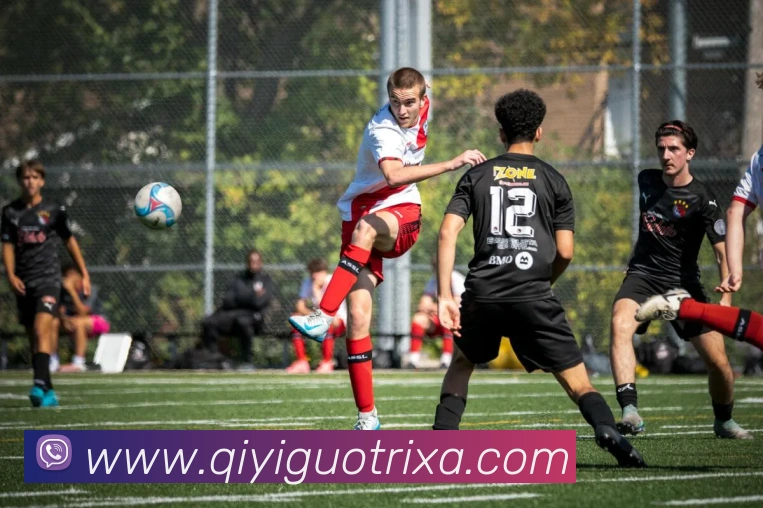 奇异果体育平台生态图