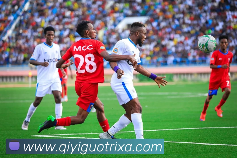 奇异果体育APP 封面图